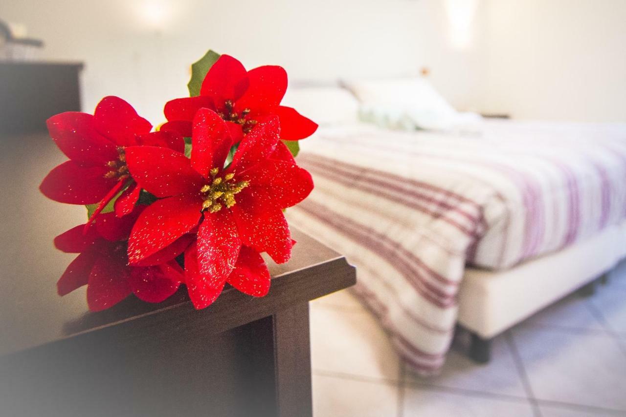 Adria Bella Locazione Turistica B&B 외부 사진
